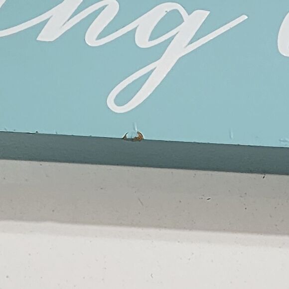 Light Blue Spring Is In the Air 18" Painted Wooden Block Decor - Picture 4 of 12